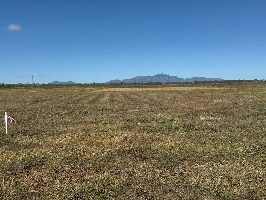 Guthalungra Another Rural Land Release