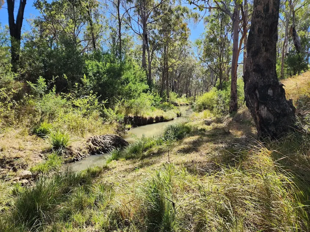 Ravensbourne  160 acres of beautiful country side with creek frontage!