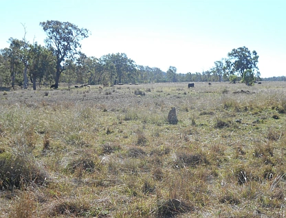 Lot 4 & Lot 6 Pechey Maclagan Road, Goombungee, Darling Downs, 0 rūma, 0 rūma horoi, Lifestyle Property