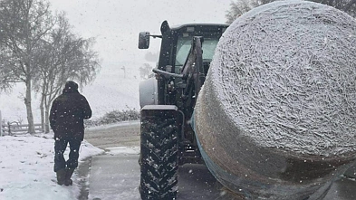 一夜入冬？奥克兰今日最高13℃，全国多地降雪，北岸大桥限速
