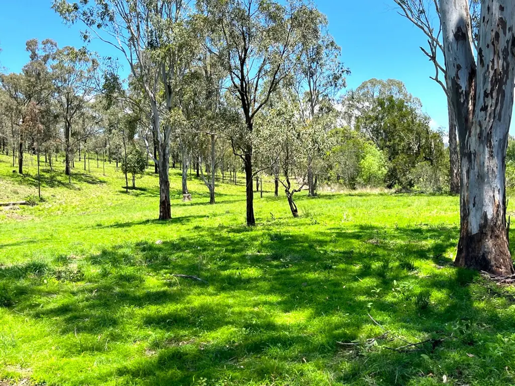508 Tarpaulin Road, Djuan, QLD 4352