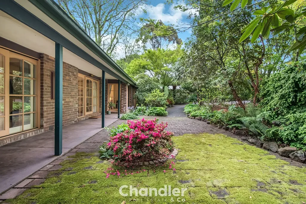 The Patch 4침실 A Truly Special Lifestyle Property in a Perfect Hills Location