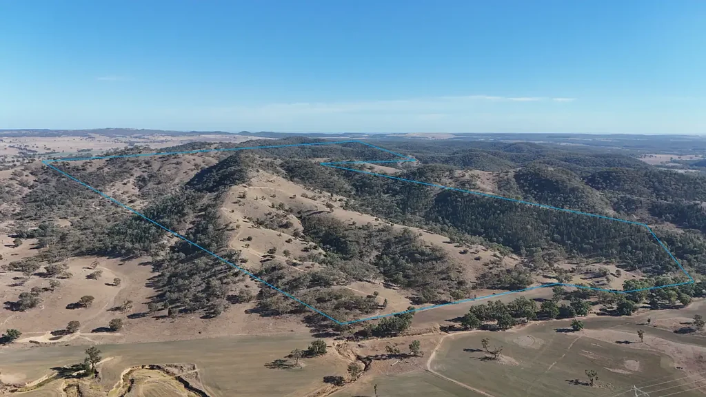 Gulgong GRAZING, HUNTING & WEEKEND ESCAPES