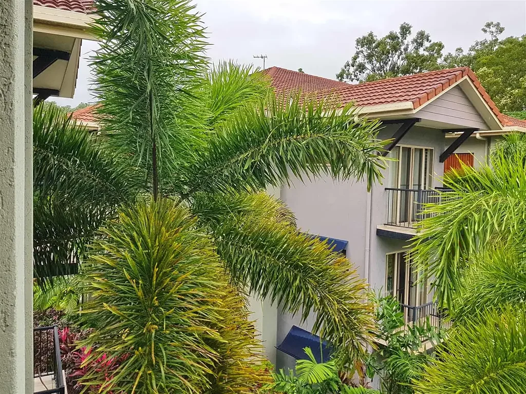 Block 24 Clifton Road, Clifton Beach, QLD 4879
