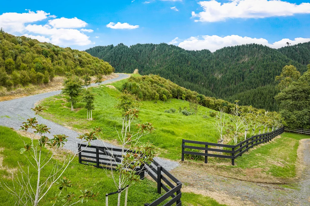 Whangaripo Elevated lifestyle living in Whangaripo Valley