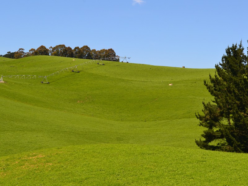 89 Brookstead Road, Island Cliff, Waitaki, 0 રૂમ, 0 બાથરૂમ