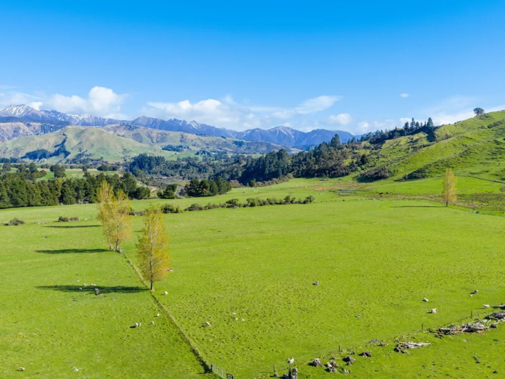 Central Hawkes Bay Country Highlands - 1139 Blackburn Road, Ongaonga