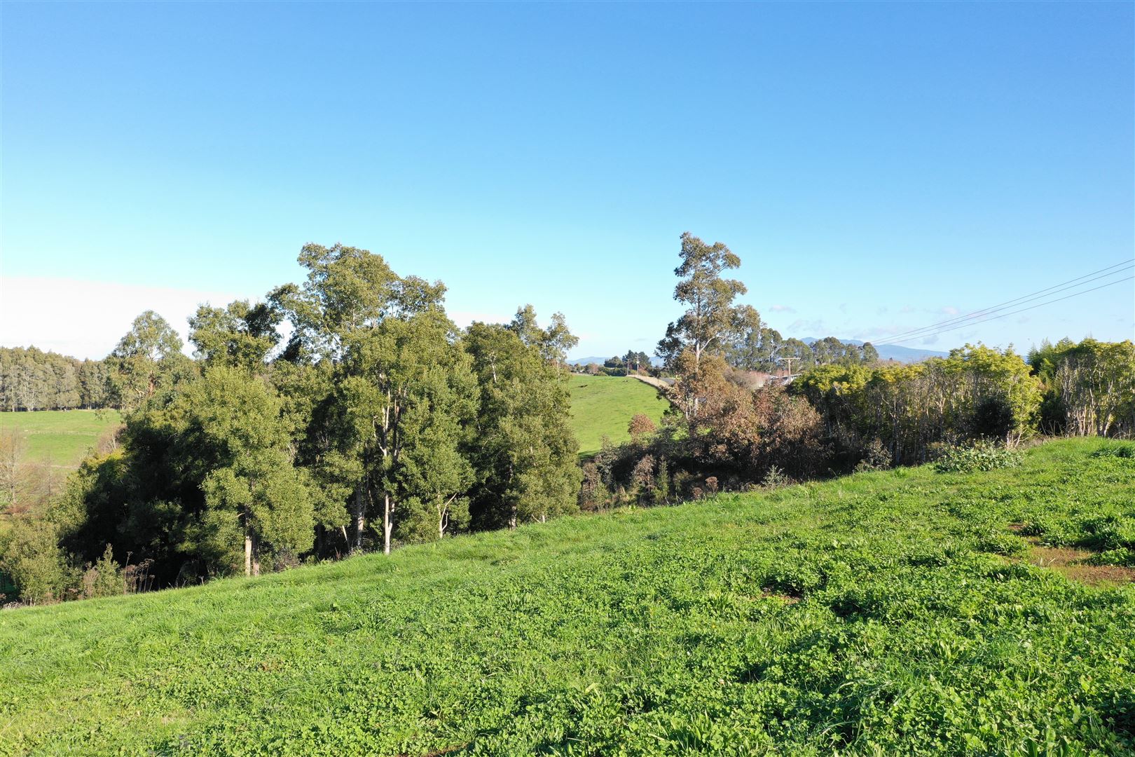 659 Peacockes Road, Rukuhia, Waipa, 4 rūma, 0 rūma horoi