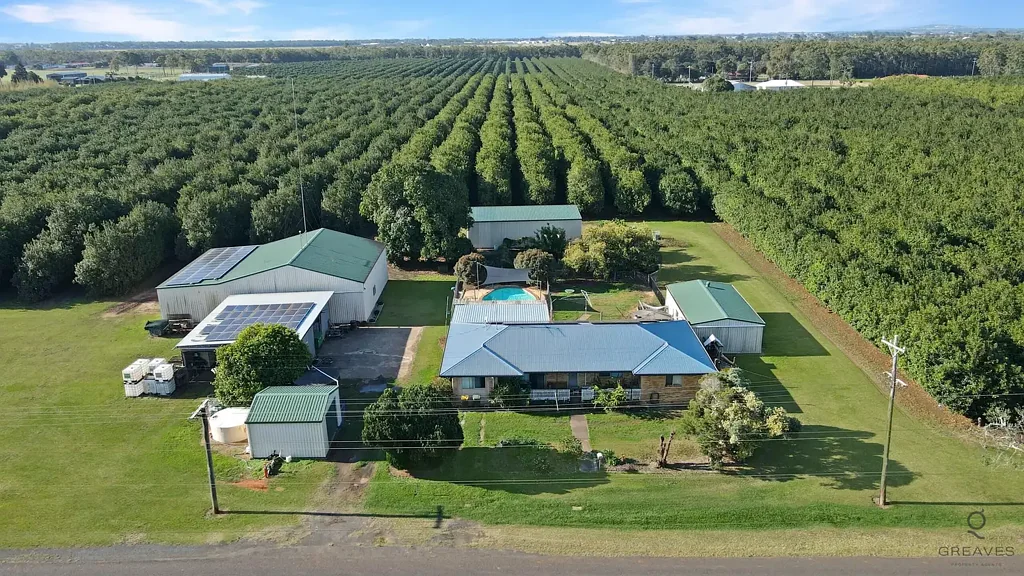 Alloway Productive 23.88 Ha Macadamia Farm with Home, Water Security and Full Infrastructure