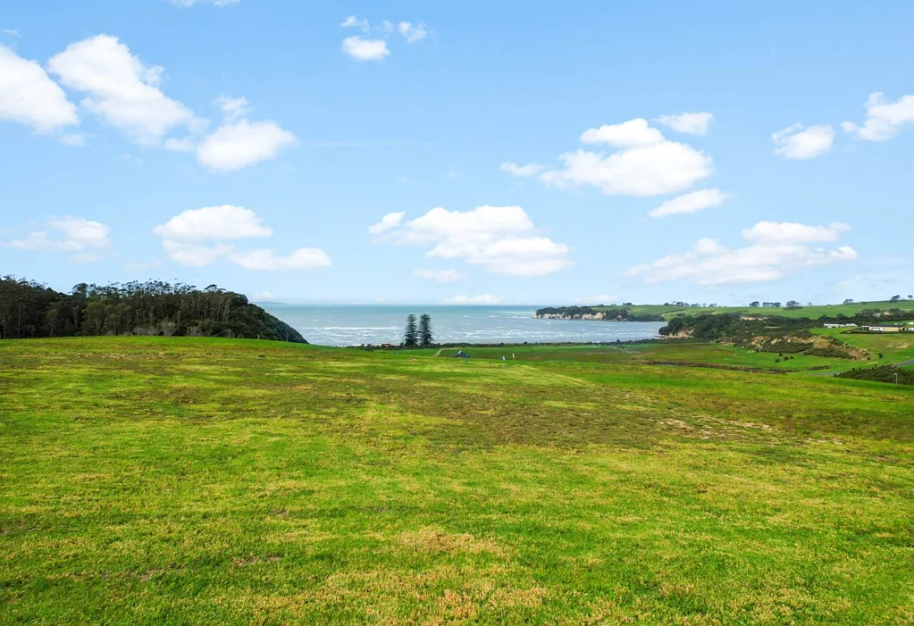 Okura Bush 1526㎡海滨大地 自然环境宜居 饱览旖旎海景 靠近繁华中心及海滩 半小时抵达奥克兰CBD！ An Excellent Place - Build Your Dream Home!