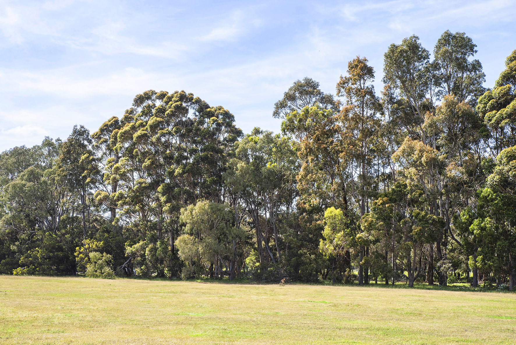 9 KEVILL RD, MARGARET RIVER WA 6285, 0 Bedrooms, 0 Bathrooms, Section