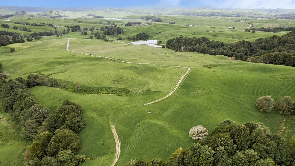 Otamatea Surrounds 154 ha Dairy Farm - Time to Move
