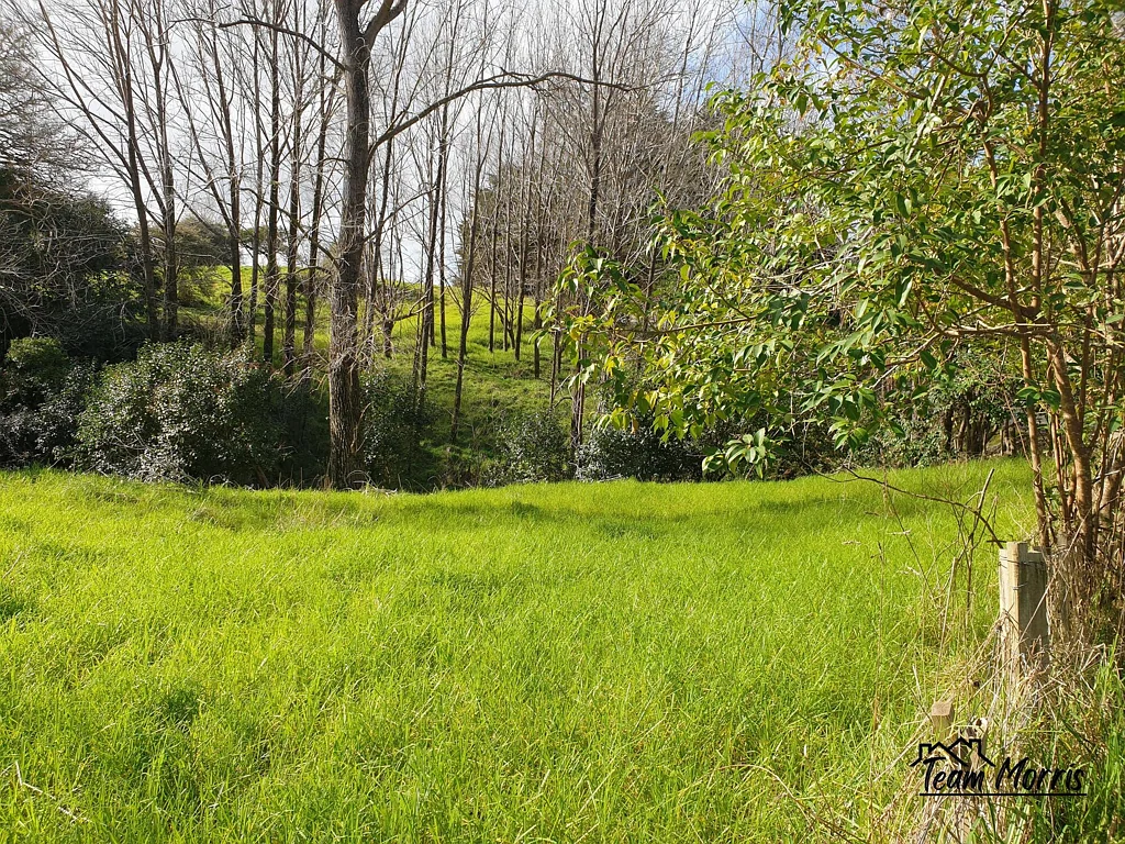 Maungaturoto 3.3 Acres | No Covenants | Tidal Stream