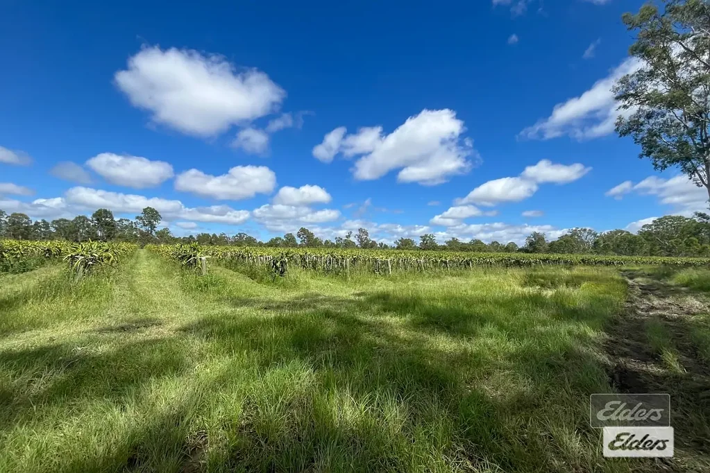 Munna Creek RURAL LIFESTYLE WITH PRIME FARMING POTENTIAL