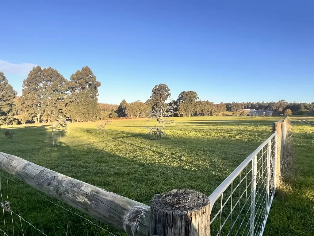 Dwellingup RARE 11 ACRES CLEARED LAND, OFF GRID SET UP IN DWELLINGUP 90 MINS FROM PERTH