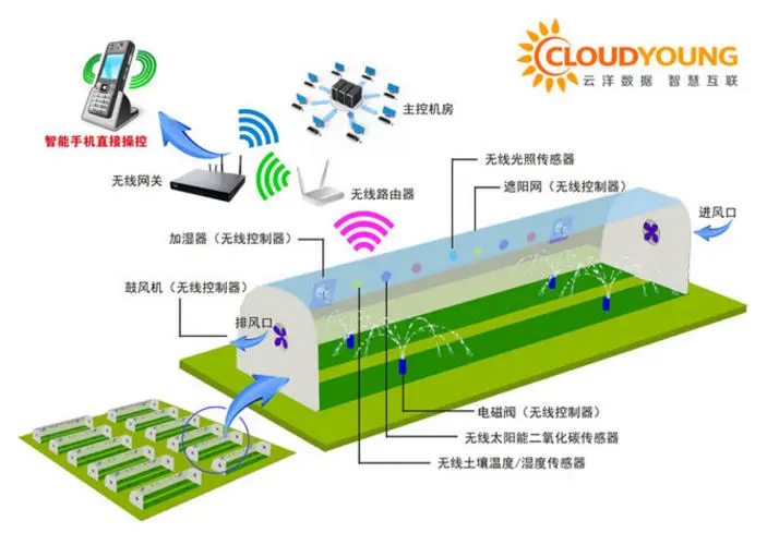 为设施农业提供物联网解决方案，「云洋数据」获1000万元天使轮融资