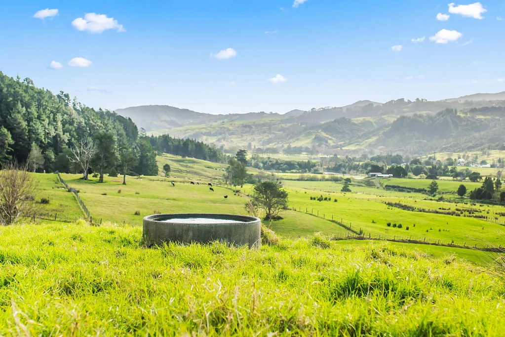 Omapere Elevated sites, rural potential