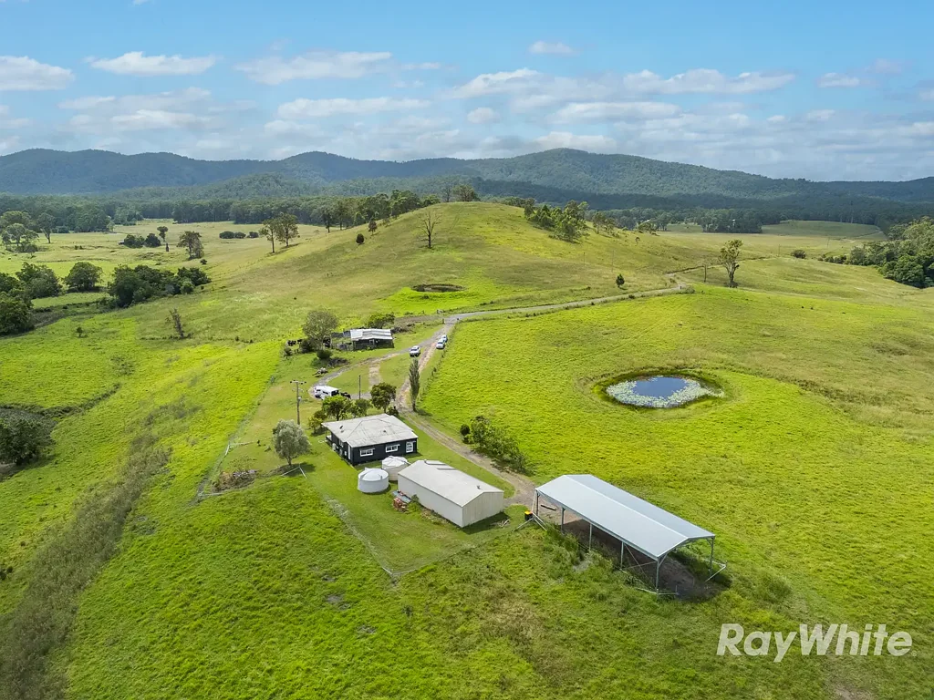 Bulahdelah  Productive Cattle Country