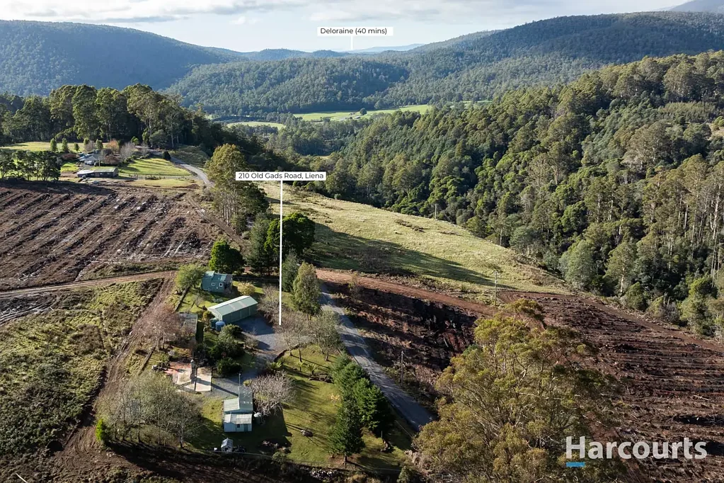 Liena 1房  Looking for a fishing, bushwalking or camping base