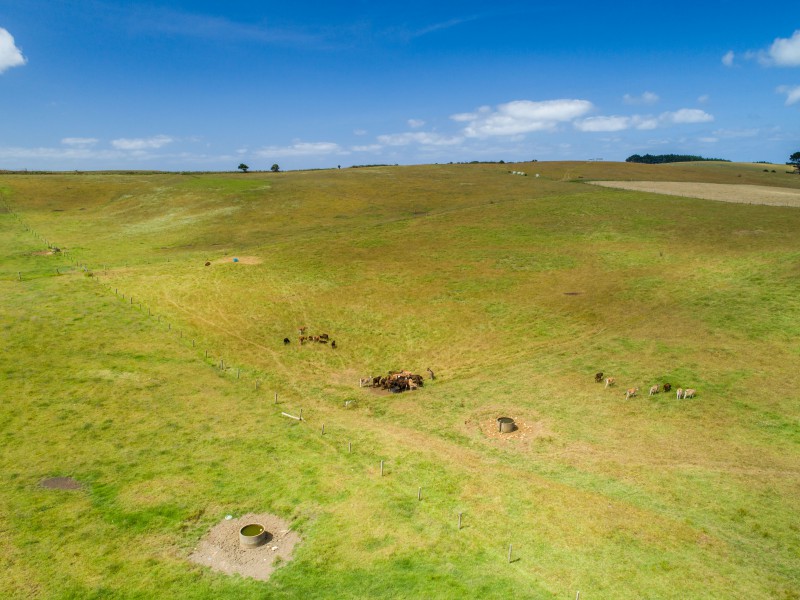 68 Aranga Coast Road, Dargaville Surrounds, Kaipara, 0 Schlafzimmer, 1 Badezimmer, Bare Land