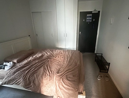 106 Vincent Street, Auckland Central, Auckland City, 1房, 1浴, 整租公寓