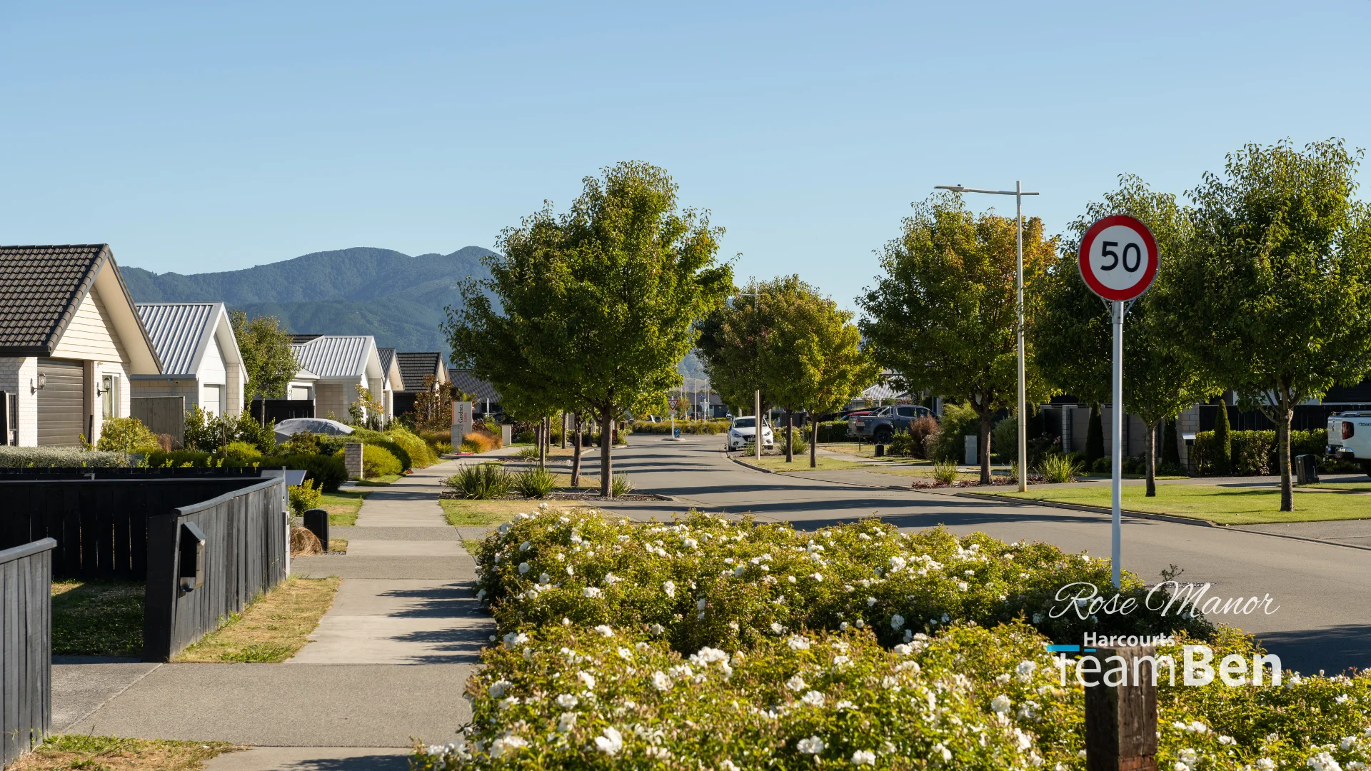 Springlands Buy The Neighbourhood