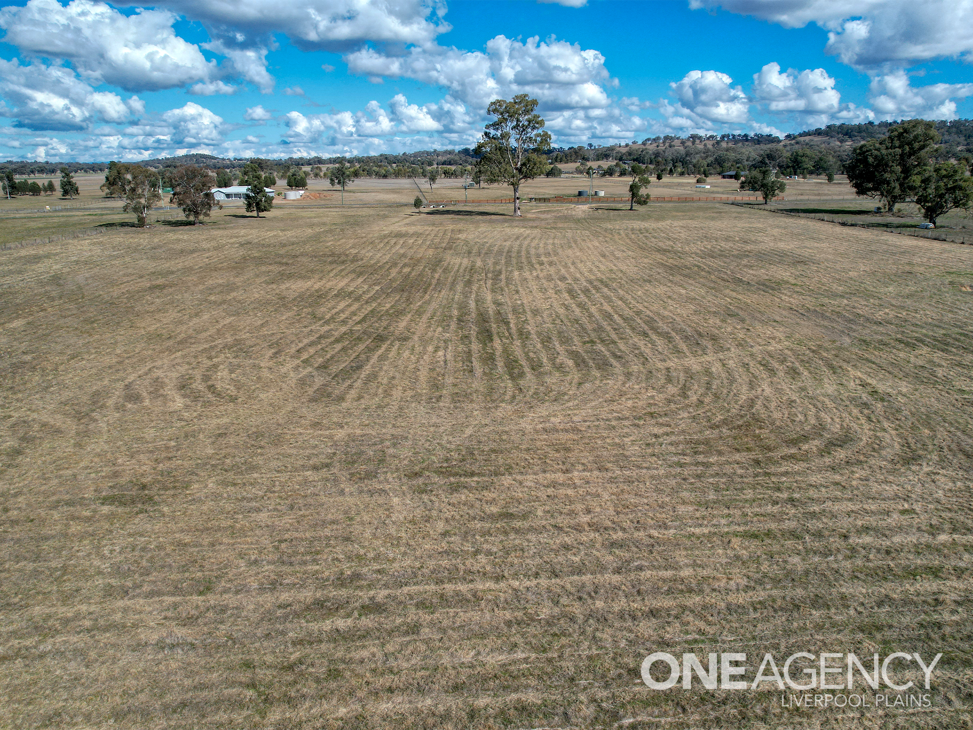 27 EURUNDEREE RD, QUIPOLLY NSW 2343, 0 rūma, 0 rūma horoi, Section