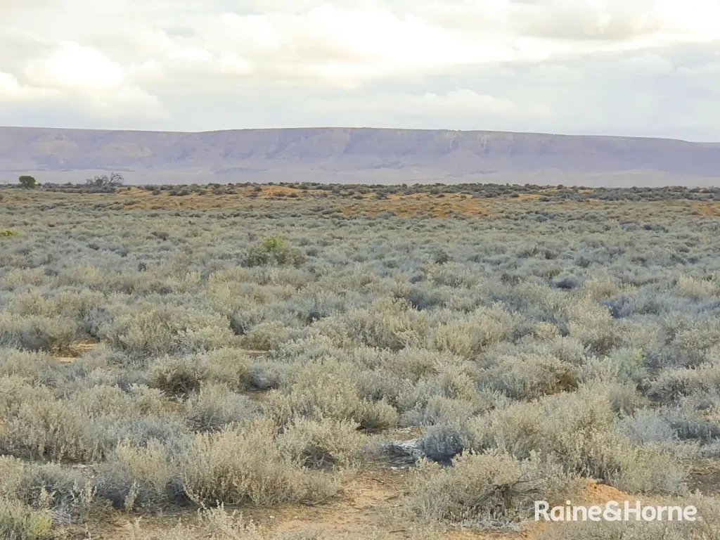 Port Paterson  Development Potential
