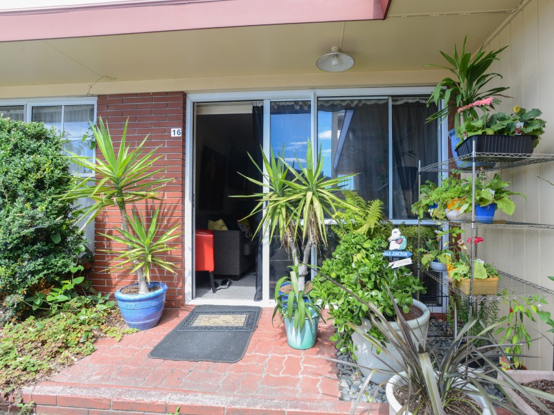 16/376 Kennedy Road, Pirimai, Napier, 1房, 1浴