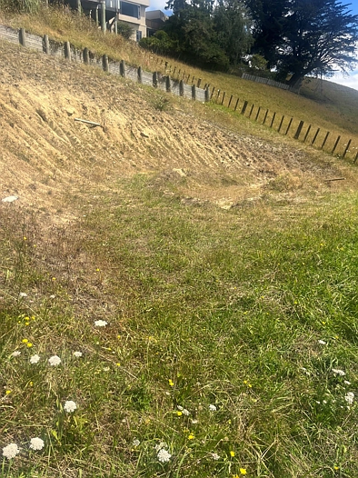 5 Glasgow Terrace, Feilding, Manawatu, 0 habitaciones, 0 baños, Section