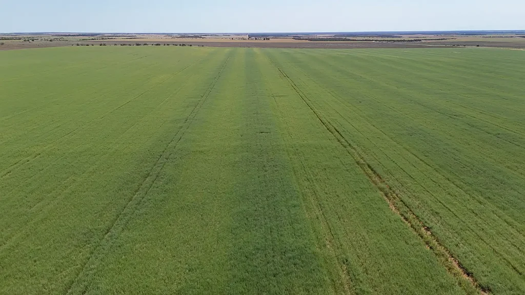 Ogilvie Terara | Ogilvie WA