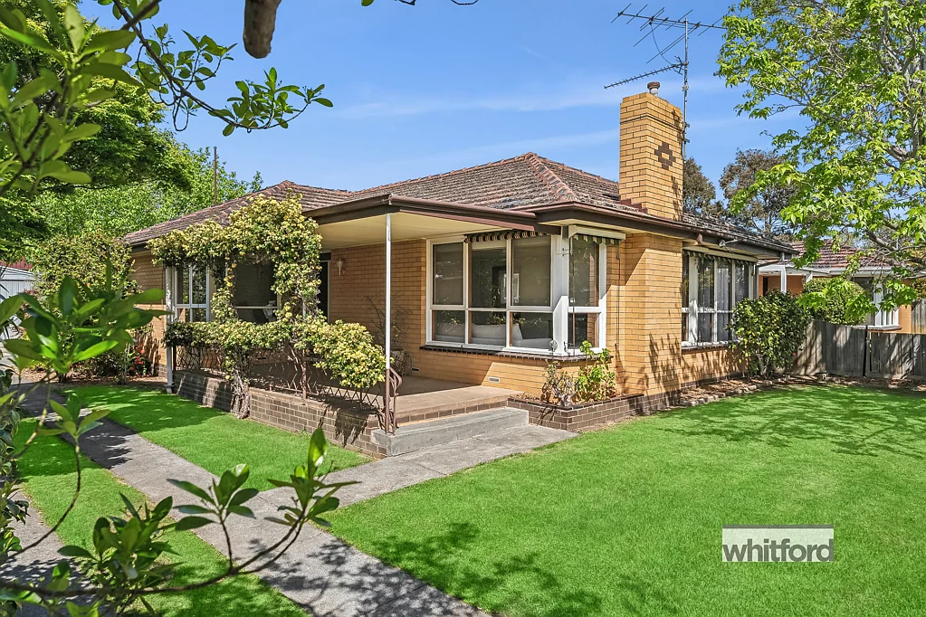 11 Digby Avenue, Belmont, VIC 3216