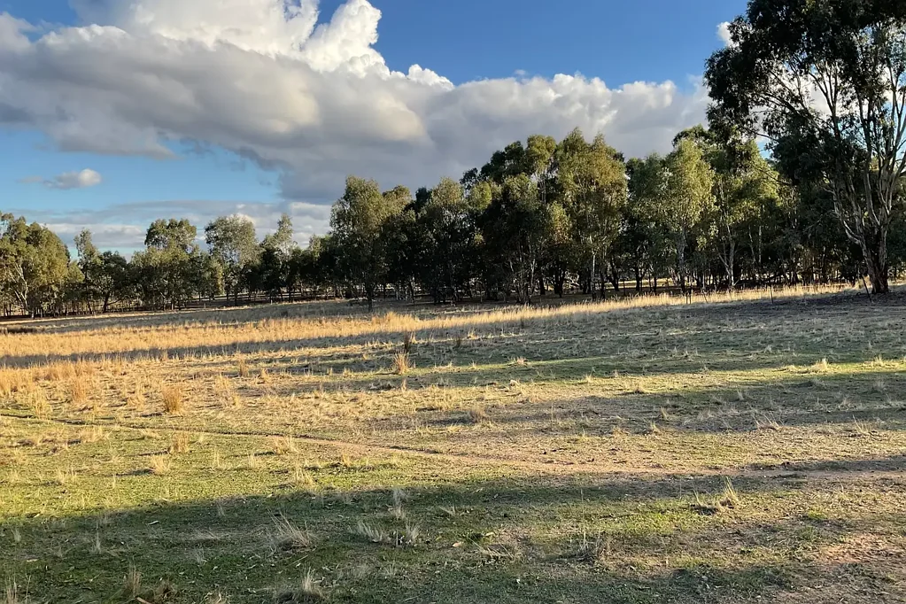 Carapooee A Must-See Rural Retreat - 60 Acres Across 3 Titles