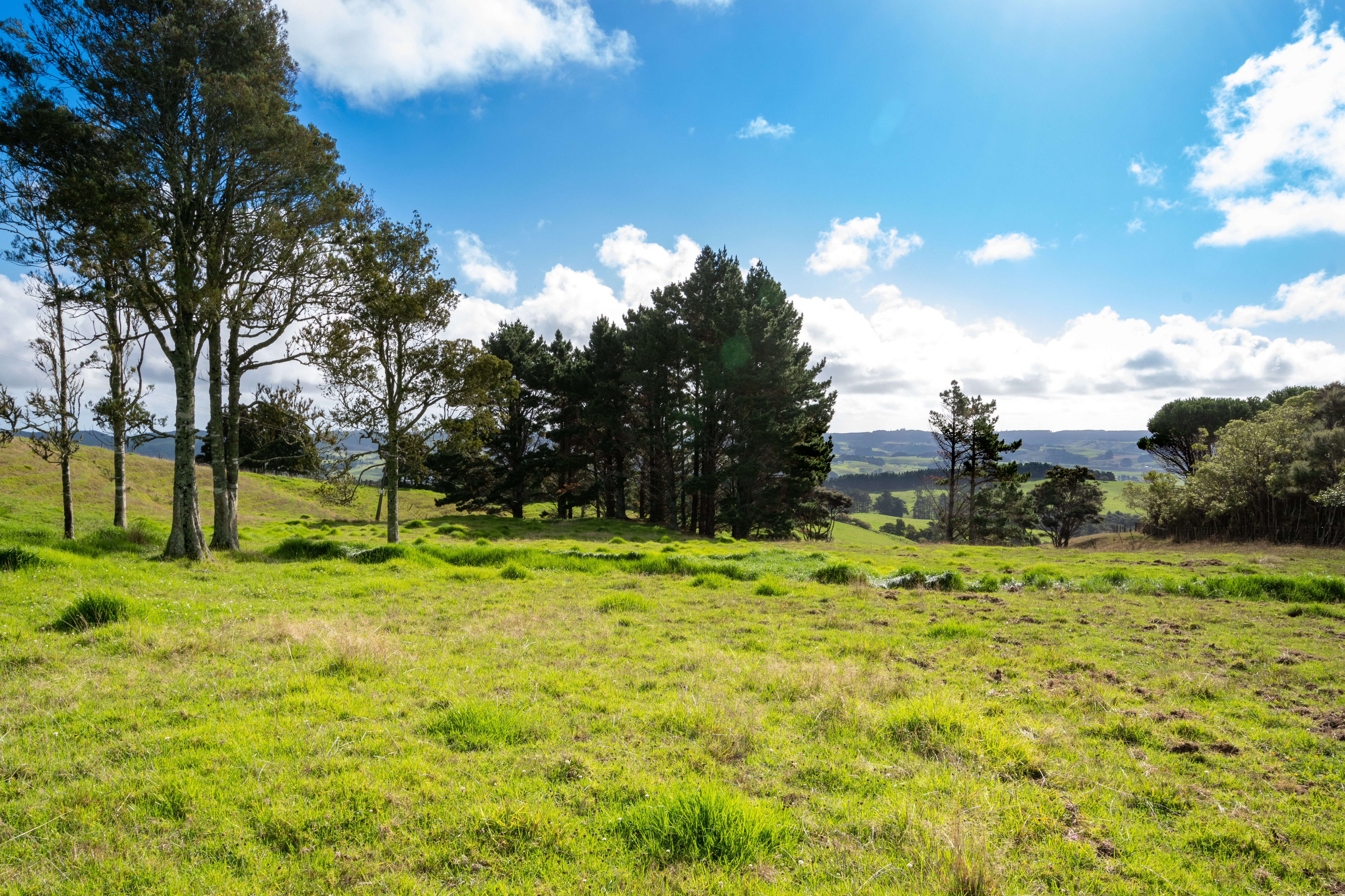 419 Kiwitahi Road, Helensville, Auckland - Rodney, 3 habitaciones, 1 baños