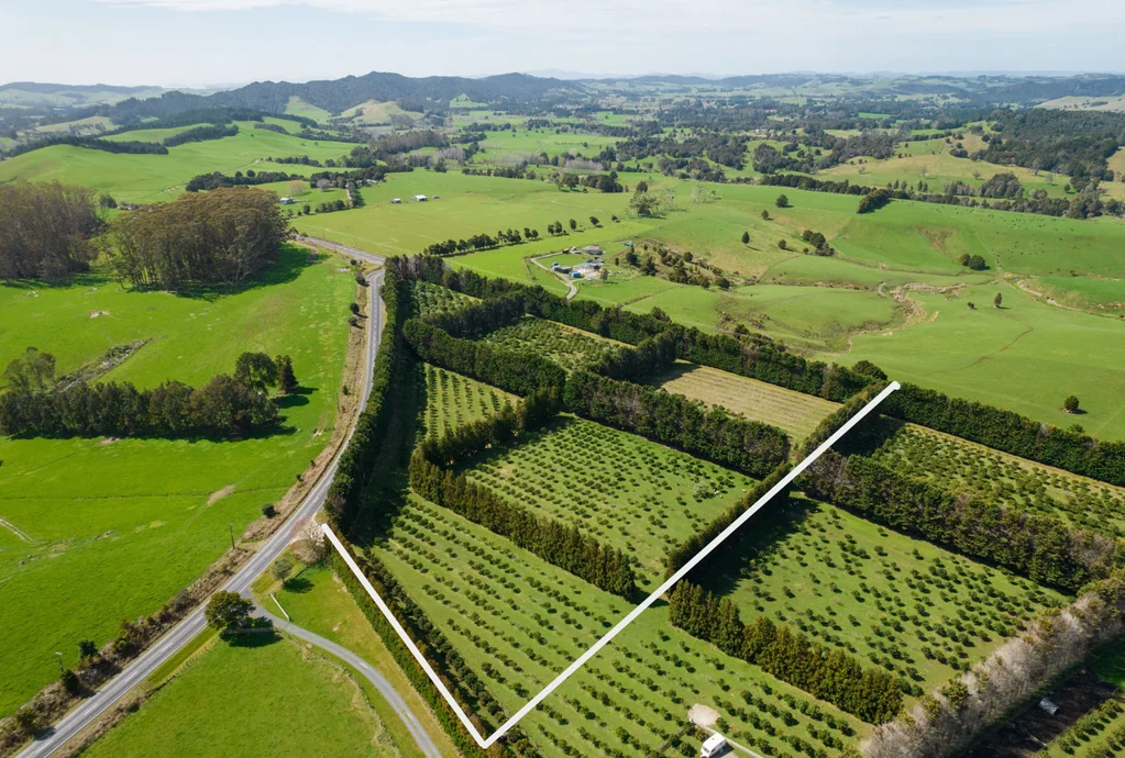 Kerikeri  4HA VOLCANIC SOILS – ORANGES – GRAZING - KKHS ZONE