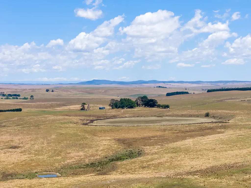 77 Aerodrome Road, Bombala, NSW 2632