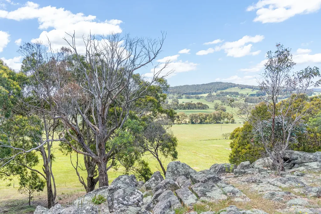 Kithbrook  "Granite Heights" 179 Acres - Open Pastures balanced with Rocks & Trees