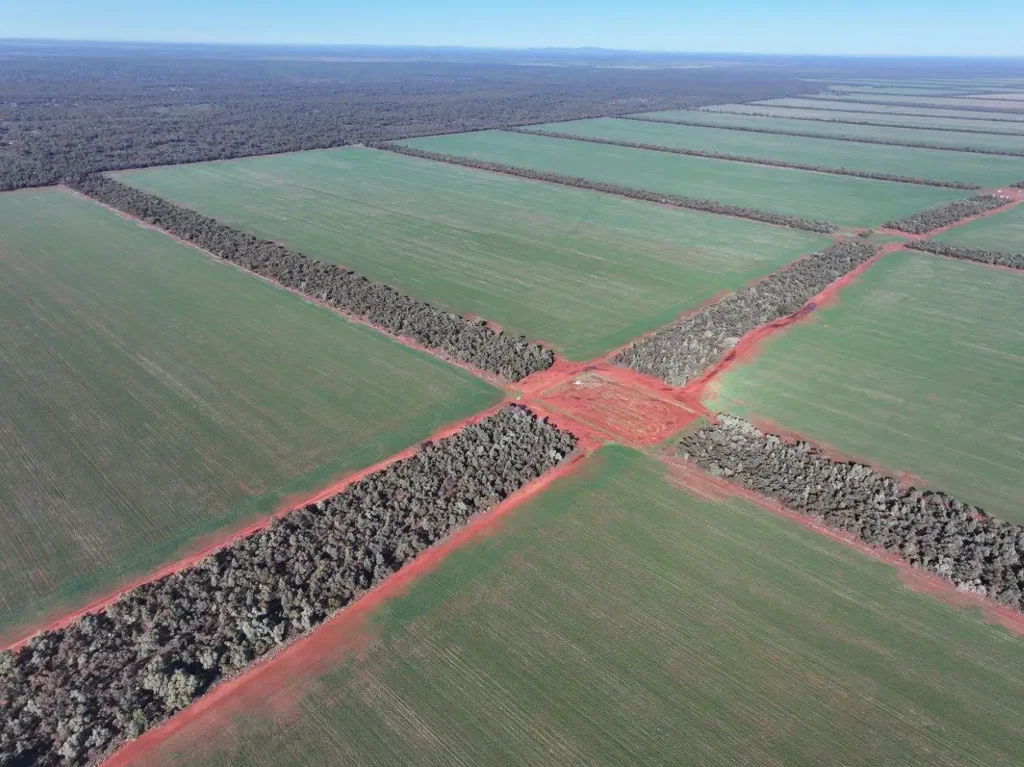 Euabalong One Of The Most Efficient Grain Growing Farms In NSW