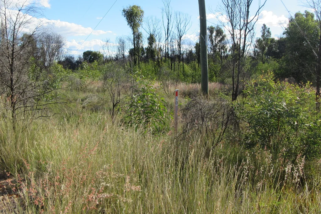 Tara Closest parcel of land for sale to Tara