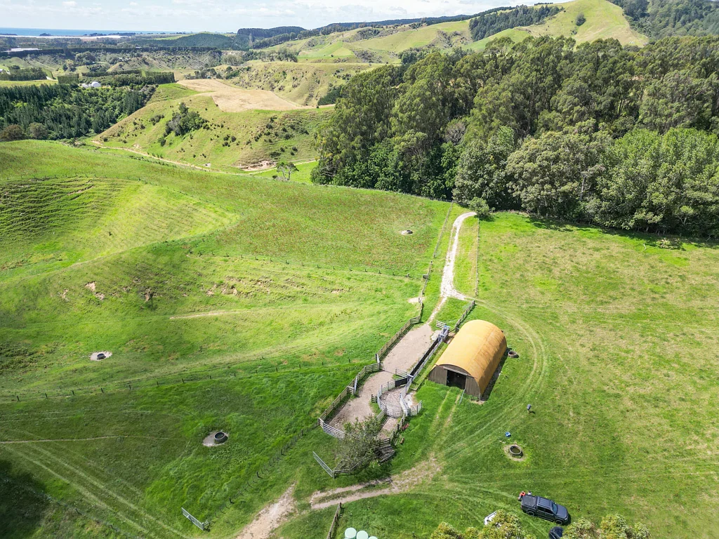 Pukehina Rural Grazing in Pukehina, Buy One or Six