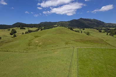 6455 State Highway 1, Kaitaia, Far North, Northland, 4房, 2浴, Bare Land