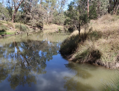 Lot 578 on CP AP6829 0 Donohoe Road, Emerald, Fitzroy, 0 રૂમ, 0 બાથરૂમ, Lifestyle Property