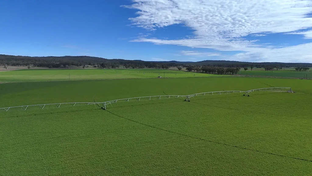 Monto Scope, Security, Opportunity - Blue Ribbon Mixed Farming