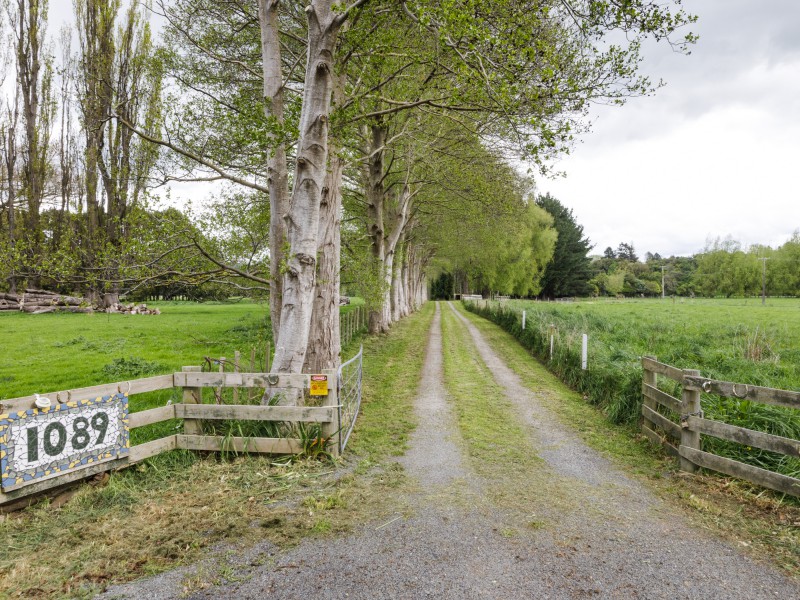 1089 Saddle Road, Ashhurst, Palmerston North, 5房, 0浴