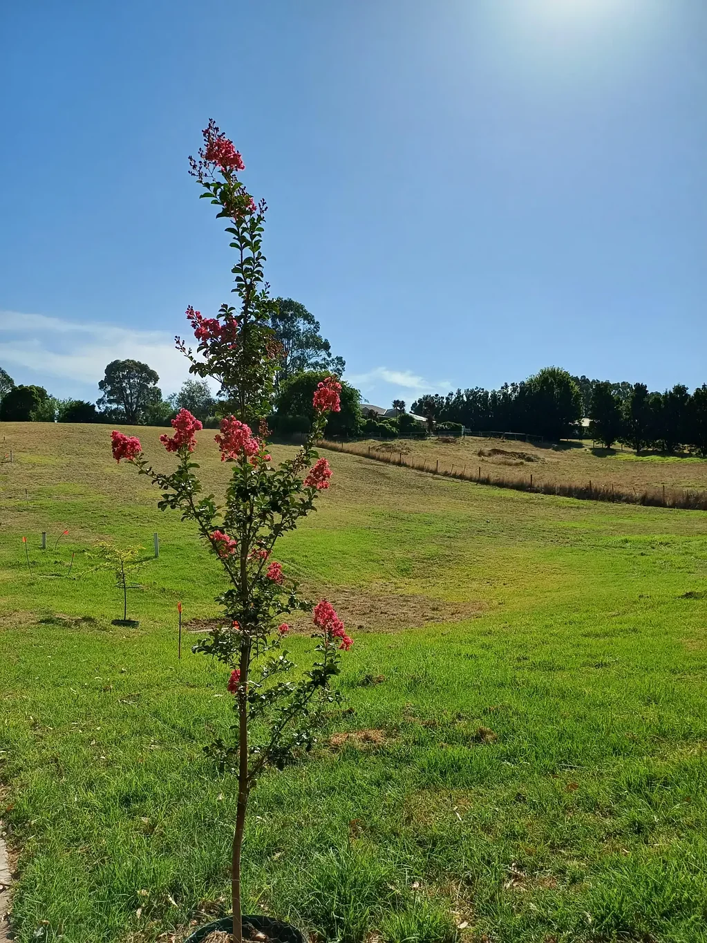 Warragul  Only 3 Lots remaining. Great views. Quiet & private. Titled. Ready to build. All services connected.
