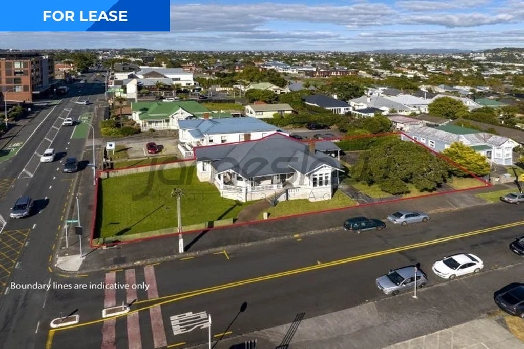 Mount Eden High profile corner Villa Dominion Rd