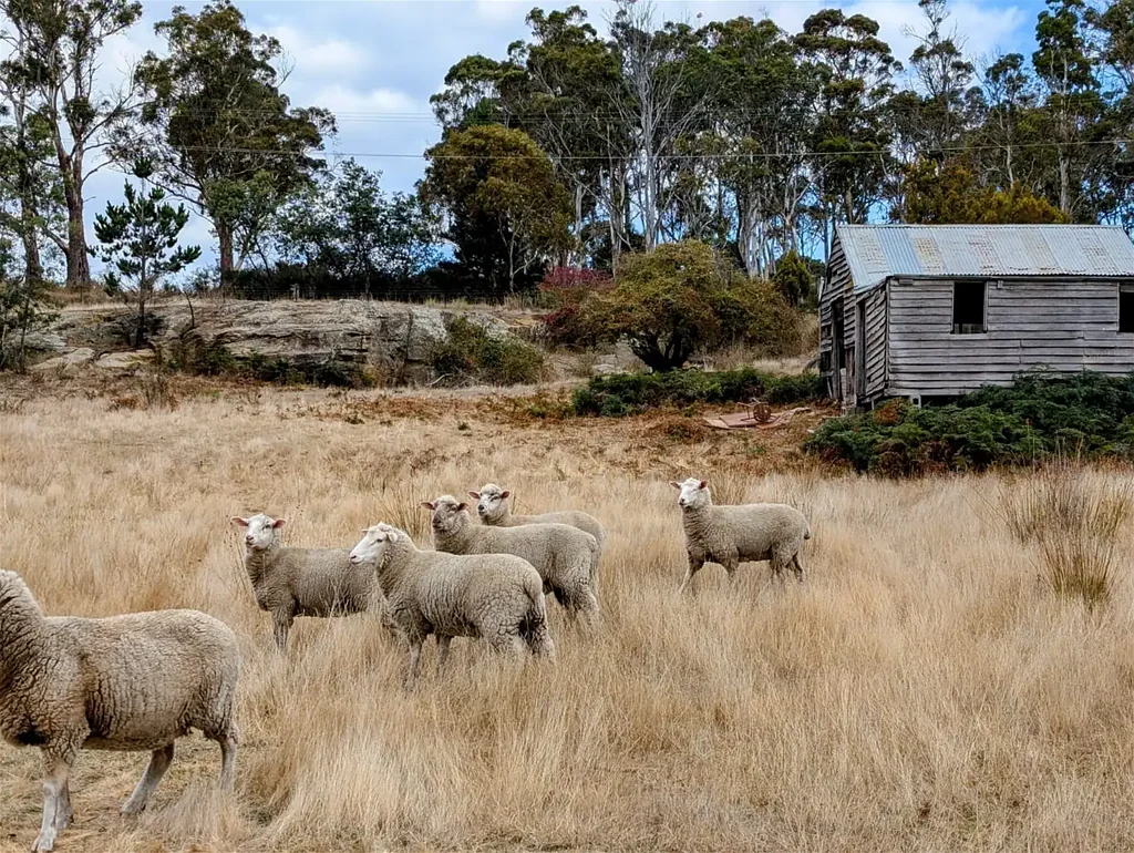 Parattah Two Scenic Land Parcels Near Oatlands, Tasmania