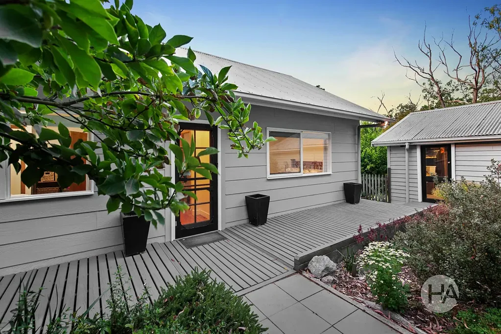 Buffalo  Timeless Charm with Modern Comfort and Room to Roam