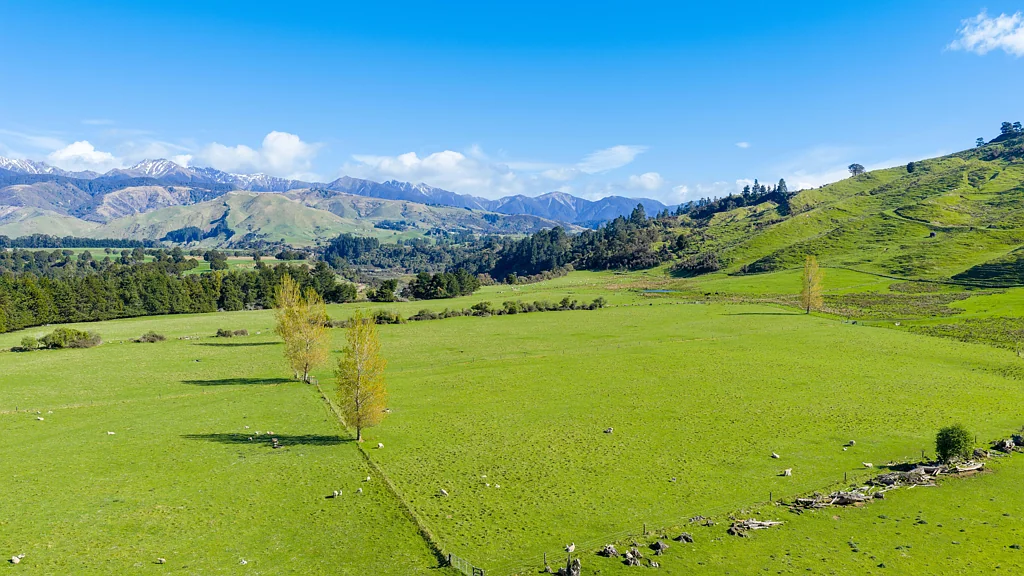 Ongaonga  Highlands - 1139 Blackburn Road, Ongaonga