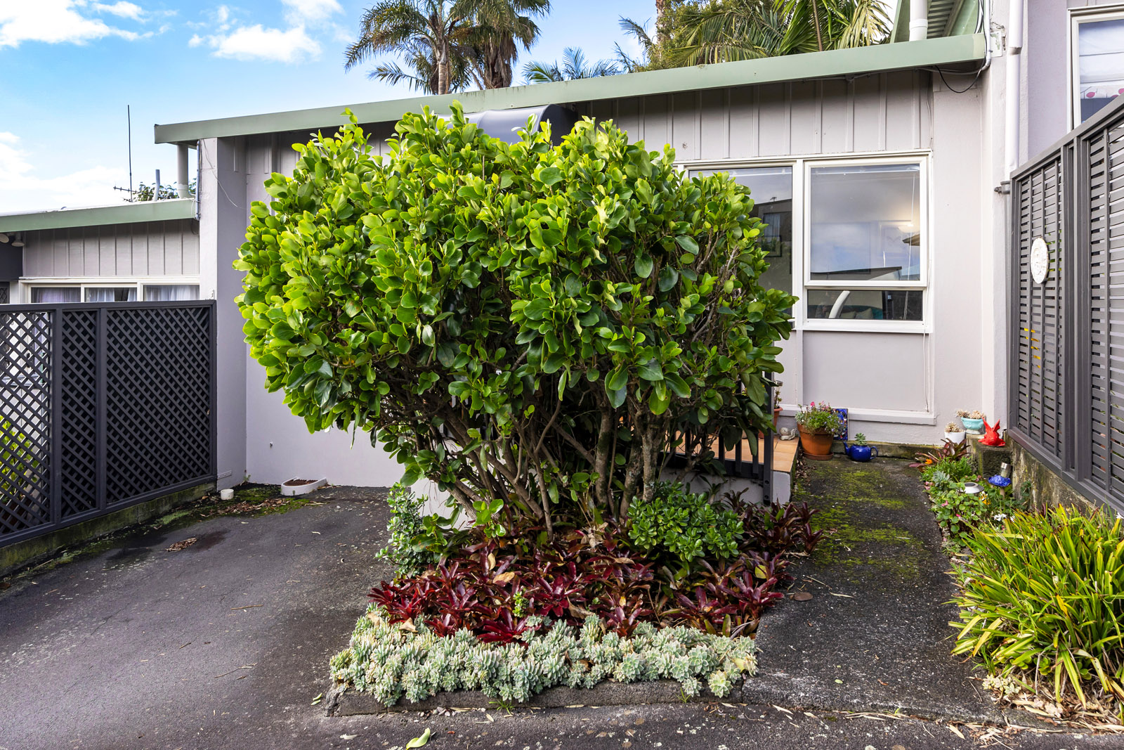 2/146 Saint Johns Road, Saint Johns, Auckland, 1房, 1浴, Unit